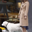keira knightley promenant son chien sur le tournage de last night