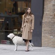 keira knightley promenant son chien