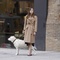 keira knightley promenant son chien - Last Night 
