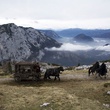 transport de la jeune fille