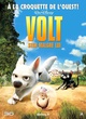 Affiche du film Volt, star malgré lui