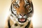 affiche teaser tigre