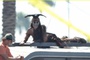lone-ranger-johnny-depp-jpg