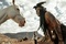 lone-ranger-jpg