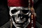 logo pirates des caraibes