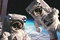 des astronautes