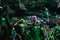 les-green-lantern-jpg