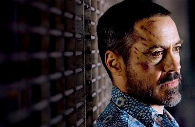 robert downey jr abim  