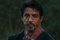 l acteur sylvester stallone