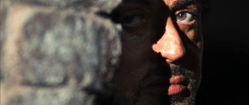 stallone surveillant