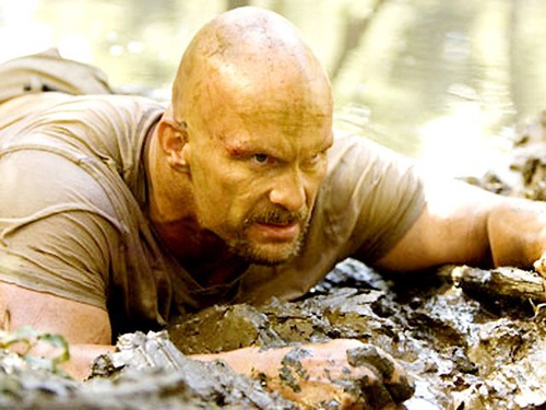 steve austin