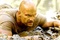 steve austin