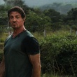 sylvester stallone dans les champs