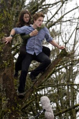 image 14 - Twilight - Chapitre 1 : Fascination