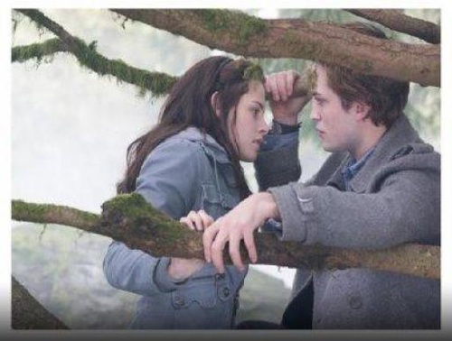 image 21 - Twilight - Chapitre 1 : Fascination