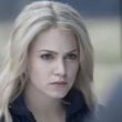 image 29 - Twilight - Chapitre 1 : Fascination