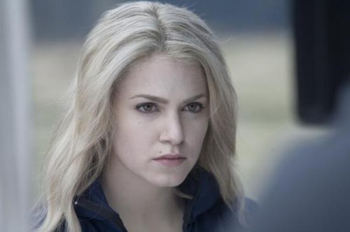 image 29 - Twilight - Chapitre 1 : Fascination