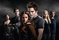 image 6 - Twilight - Chapitre 1 : Fascination