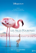 Affiche miniature du film Les Ailes pourpres : le mystère des flamants