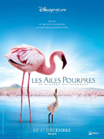 Affiche du film Les Ailes pourpres : le mystère des flamants