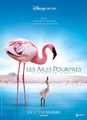 Les Ailes pourpres : le mystère des flamants