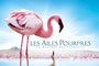 Affiche du film Les Ailes pourpres : le mystère des flamants