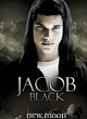 affiche du film twilight jacob