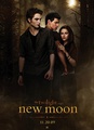 Twilight - Chapitre 2 : Tentation