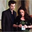 bella edward