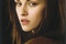 nouvelle affiche twilight 1