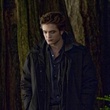 robert pattinson en pause