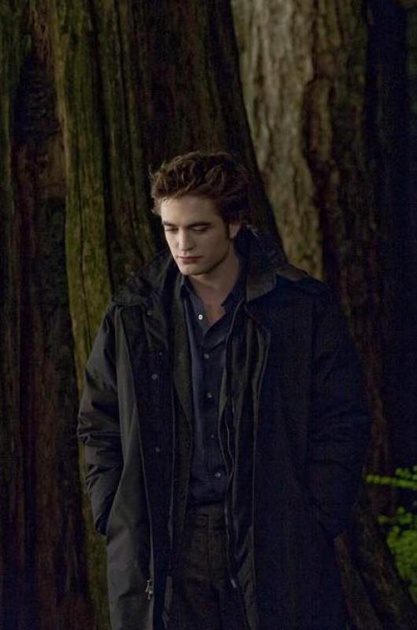 robert pattinson en pause
