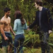 taylor lautner kristen stewart robert pattinson