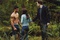 taylor lautner kristen stewart robert pattinson