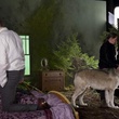 tournage robert pattinson