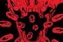 affiche-teaser-ghost-rider-jpg