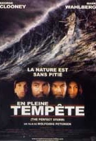 Affiche miniature du film En pleine tempête