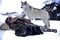le loup et l homme