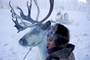 photo 17 du film loup