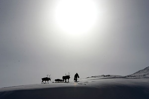 photo 23 du film loup