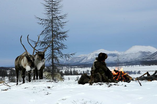photo 26 du film loup
