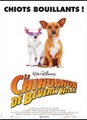 Le Chihuahua de Beverly Hills