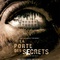 Affiche du film La porte des secrets - La porte des secrets 