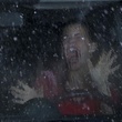 haley webb
