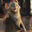 la souris guerri  re ripitchip