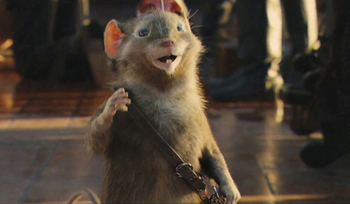 la souris guerri  re ripitchip