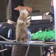 photo de tournage 7