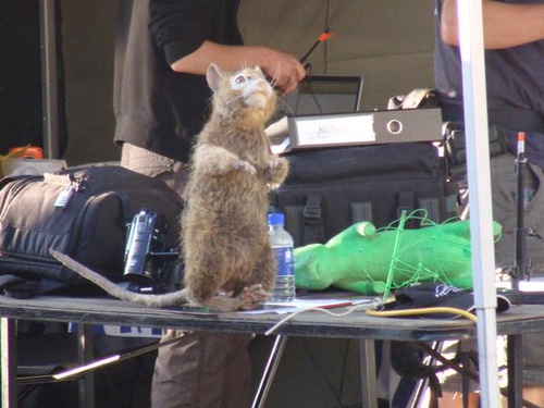 photo de tournage 7