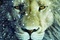 poster teaser narnia l odyss e du passeur d aurore