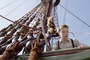 will poulter sur le passeur d aurore